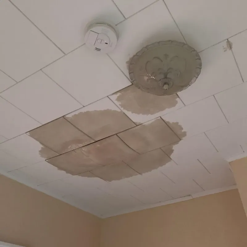 Ceiling Water Damage Repair in Farmersville, OH