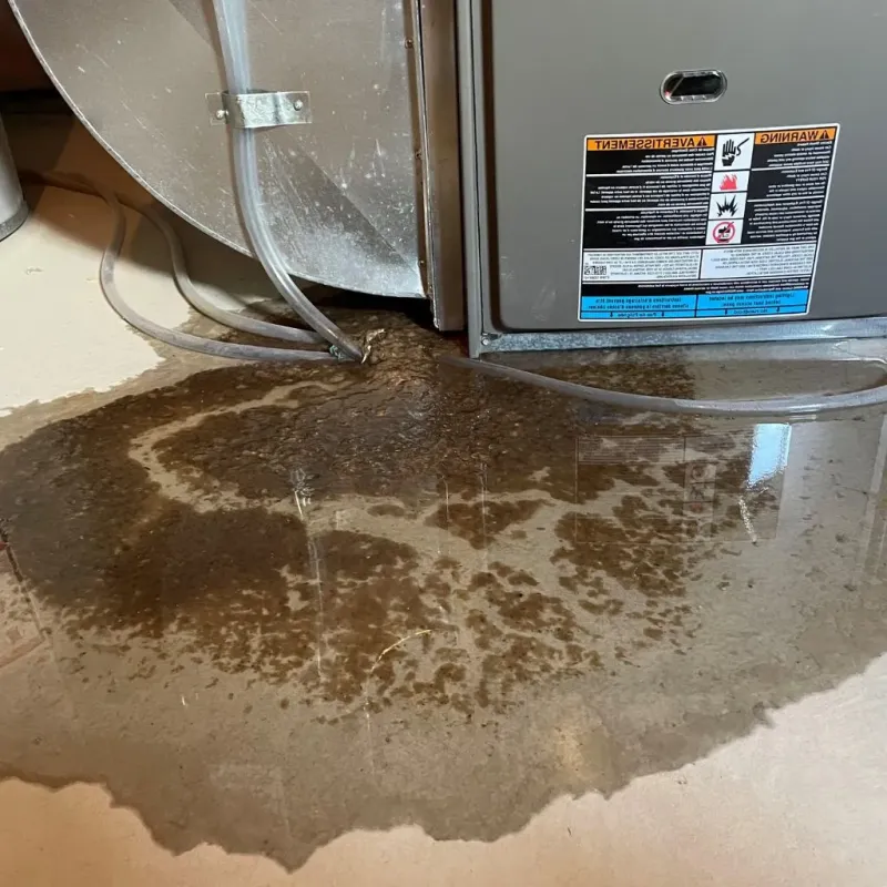Pipe Burst and Leak Restoration in Farmersville, OH
