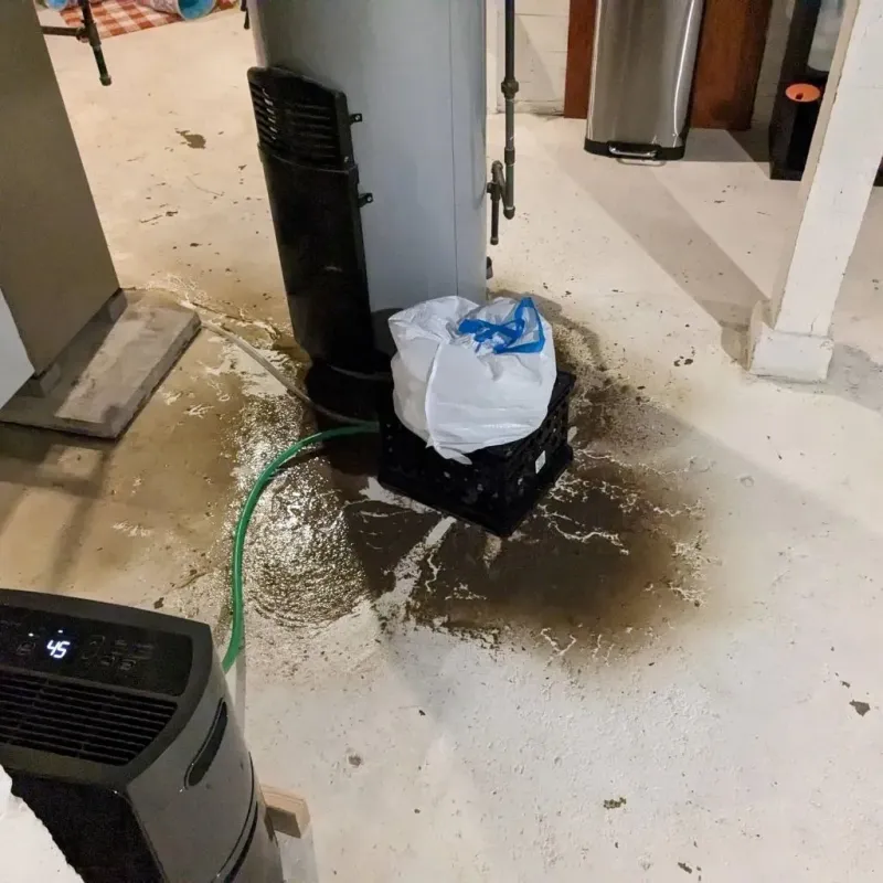 Sewage Backup Cleanup Service in Farmersville, OH